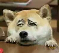 ׷ԨƱٸ Ӳ˲߻Ǯ
