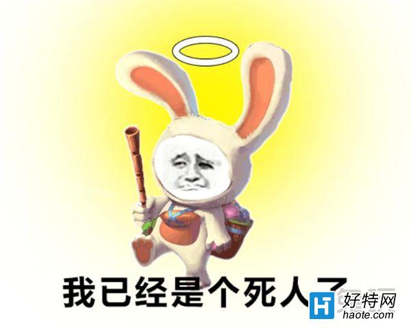 ôקզȥŵ˹