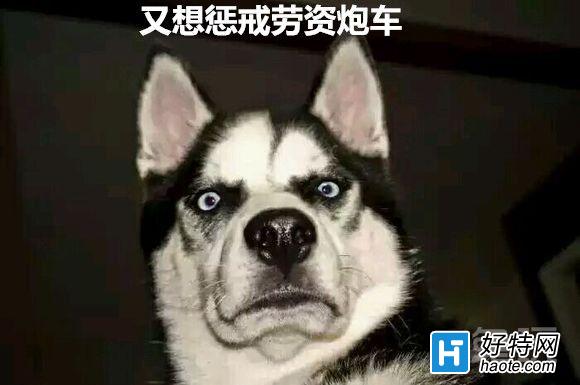 նLOLҪעʮ·