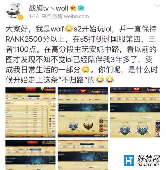 wolfҴ Ҿܾ