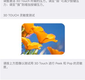 iPhone 6S 3DTouch](yng)Q