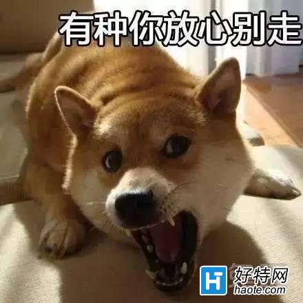 LOLȫϷ ֱƽ̨59갢