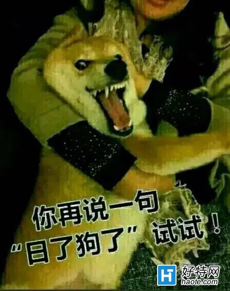 LOLЩӢ۵Ŀƹϵ̵ Сѧ