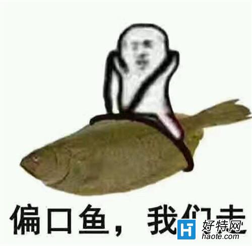 ƤƤϺʲô˼