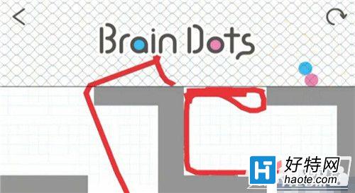 ԵBrain Dots216ͨع