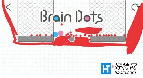 ԵBrain Dots250ͨع