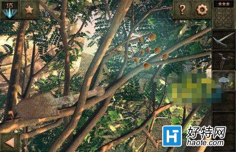 14ؿ淨 14ؿ