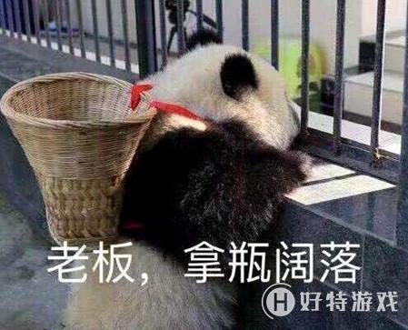 1278ʲô˼ʲô 1278ʲô˼