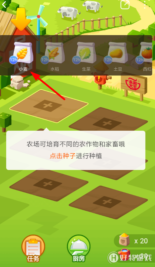 ڱũô ֧ڱũ̳