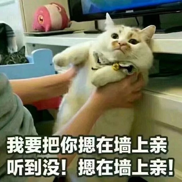 Ҫǽױȫ