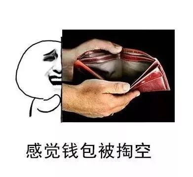抖音感觉钱包被掏空表情包图片 支付宝、微信和信用卡被掏空