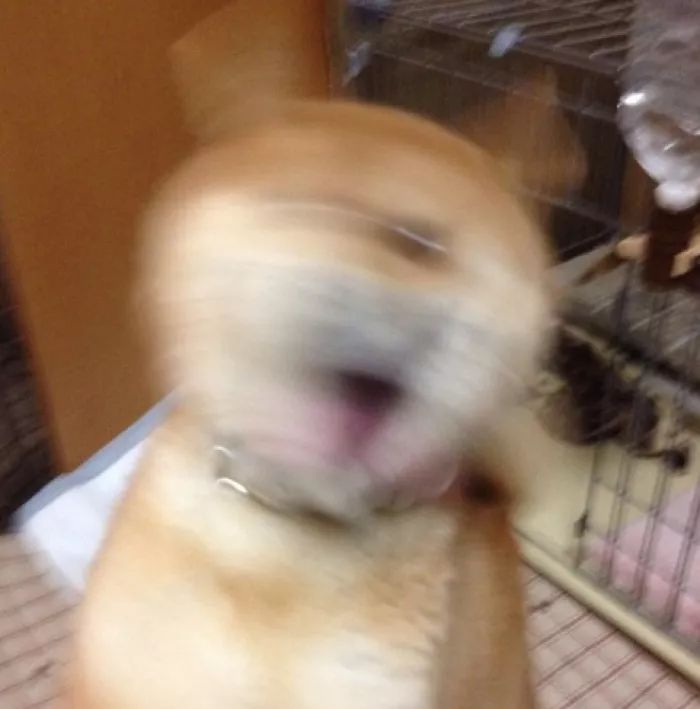 ɰͷ