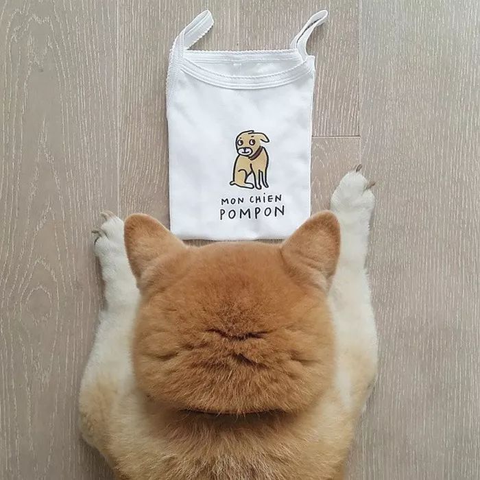 ɰͷ