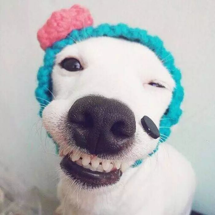 ɰͷ