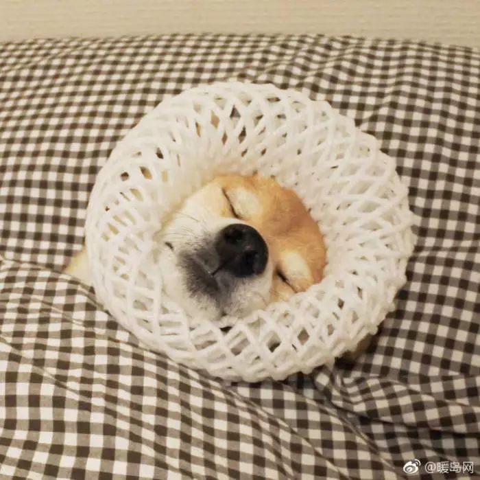 ɰͷ