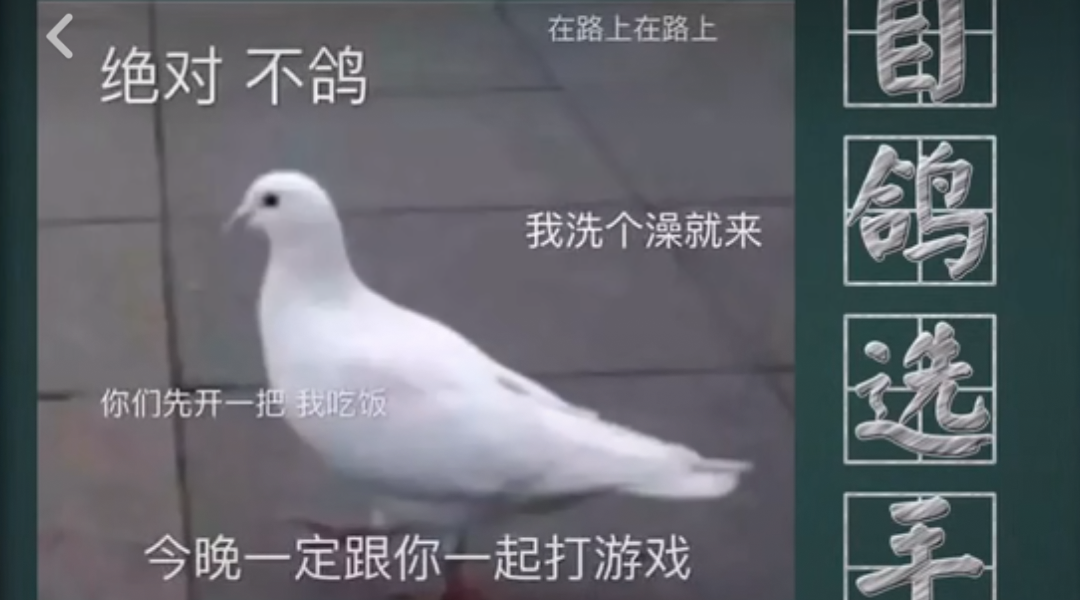 Ըѡʲô