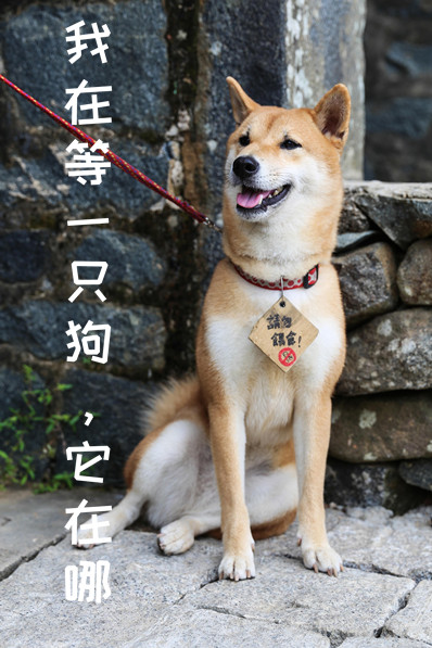 Ԫϵ