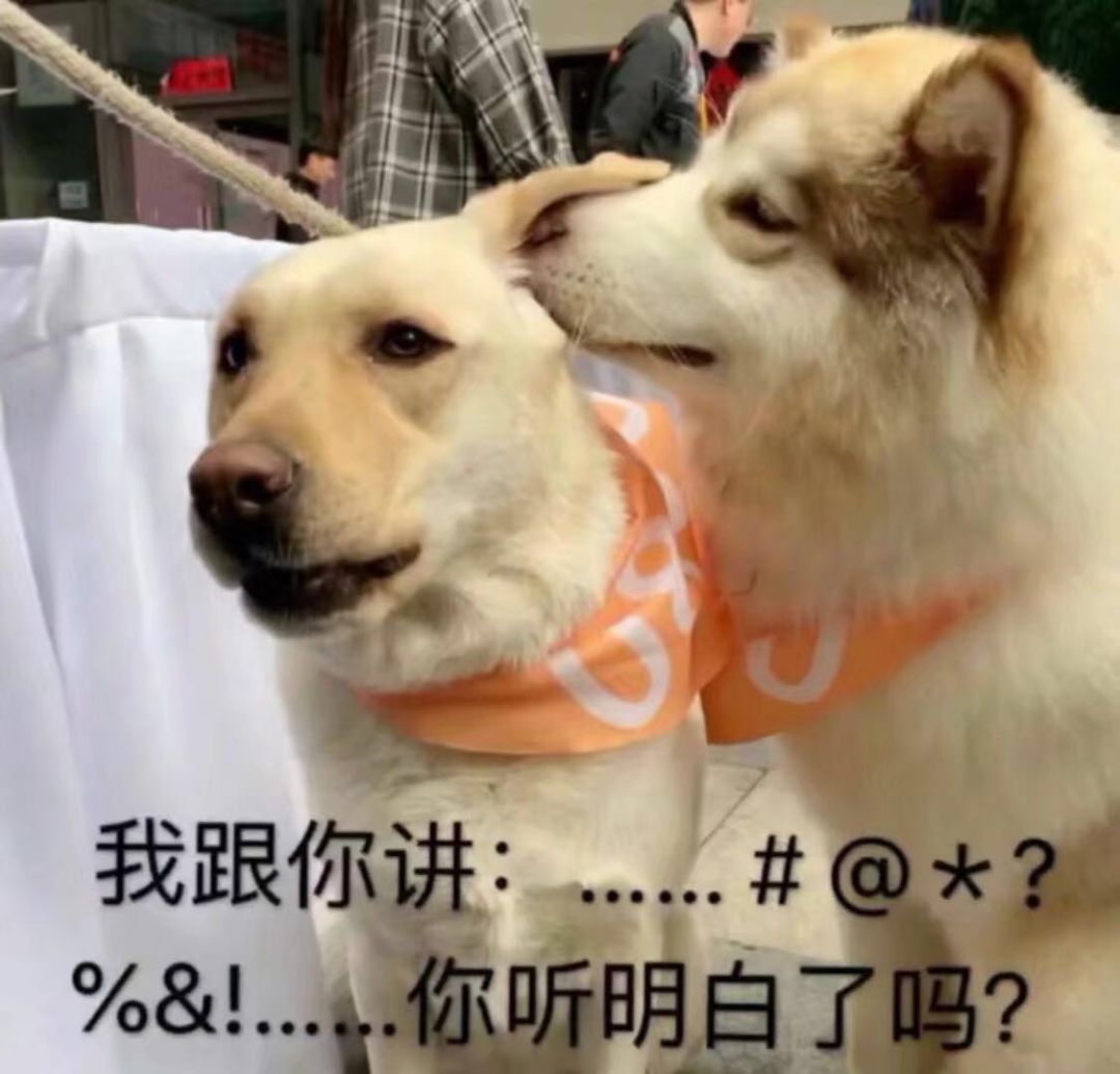 Ҹ㽲 