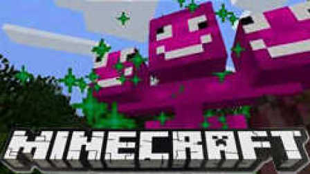 ħҵ żڰŮѴսʺߺŵ minecraft