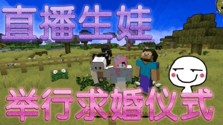 Сӽҵ汦°˷Ц20: ҶС! minecraft 