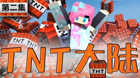 СӽҵЦTNT½2: ըٴׯ޴ minecraft