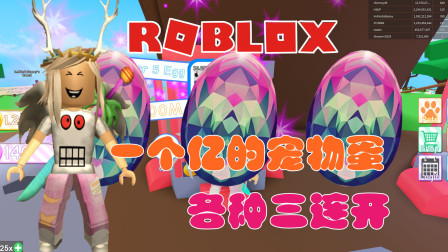 ˵Robloxռģһڵĳ ת20λ˭