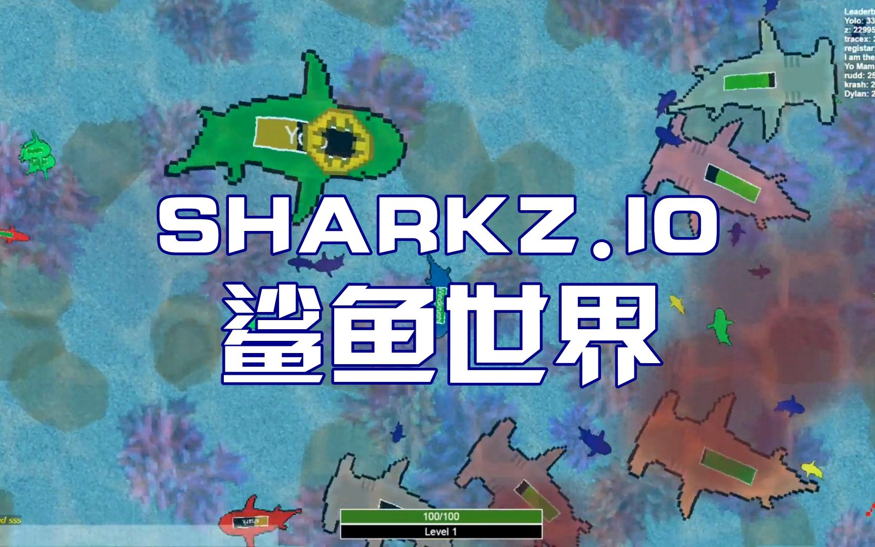 顿 Sharkz.io