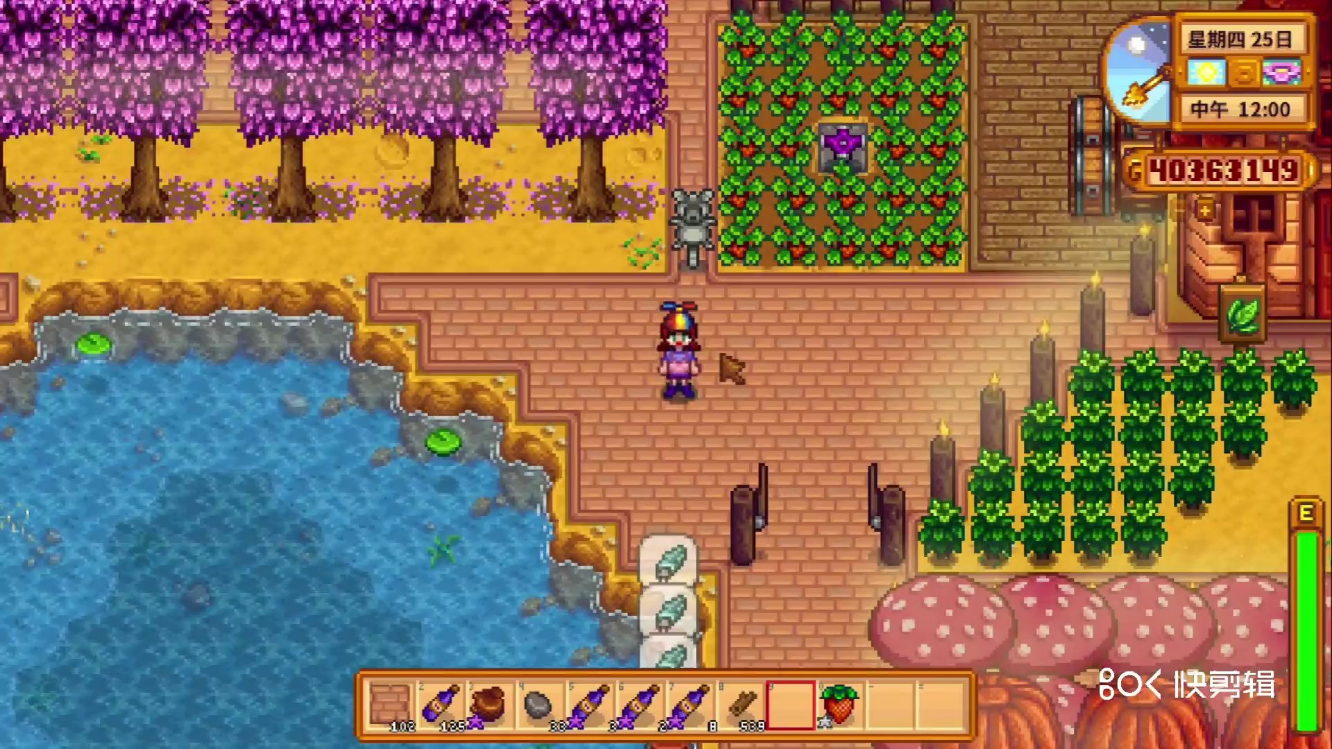 Stardew Valley