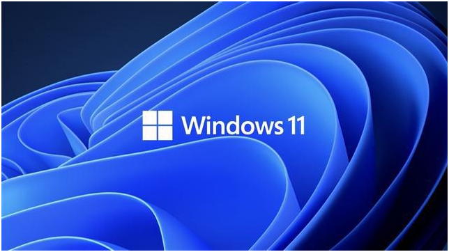 Windows11