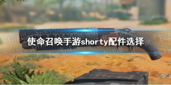 ʹٻΡshorty