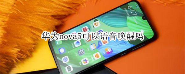 Ϊnova5