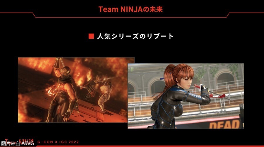 Team Ninja ƻϵ