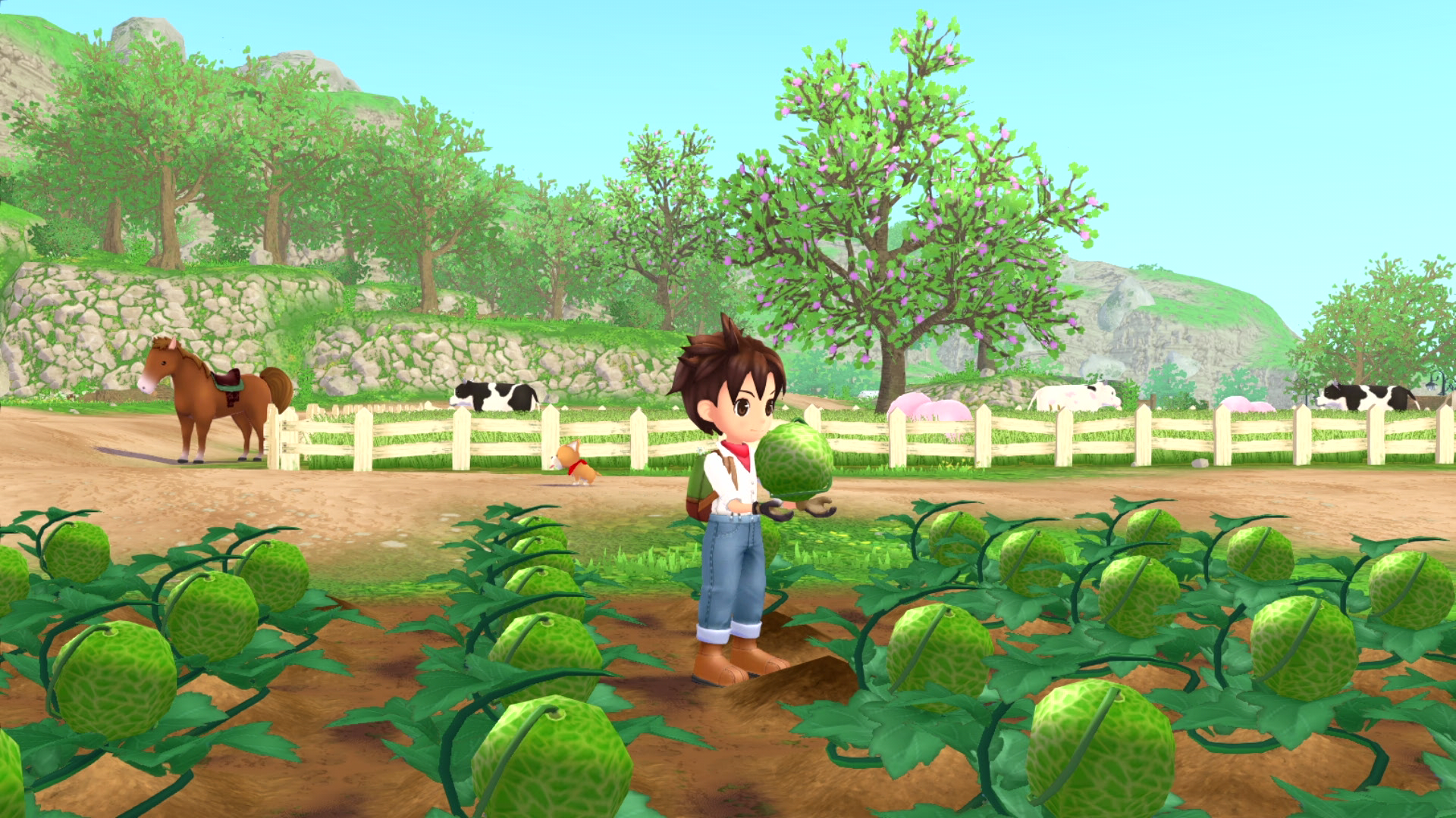  WelcomeİPV鱨