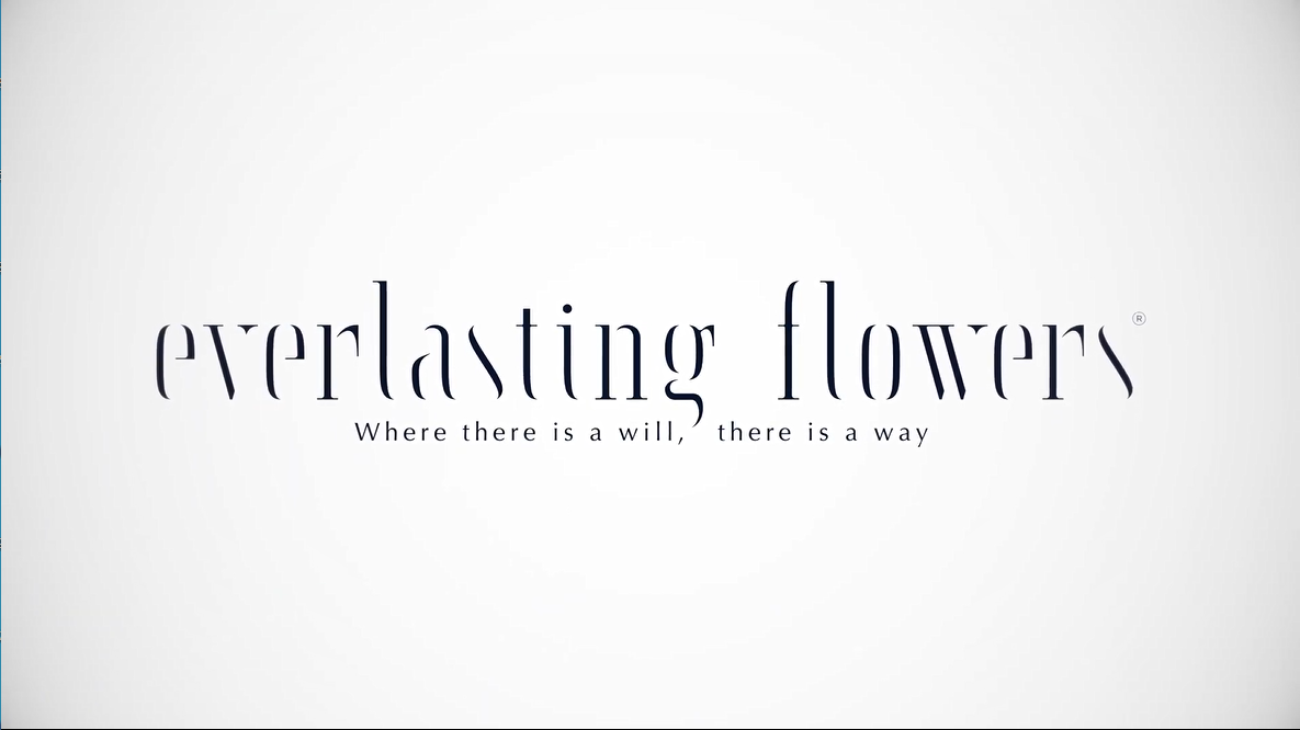 ѩ硱C102everlasting flowers