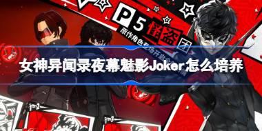 Ů¼ҹĻӰJoker