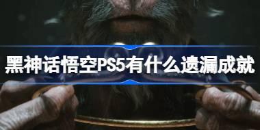 PS5汾©ĳɾ