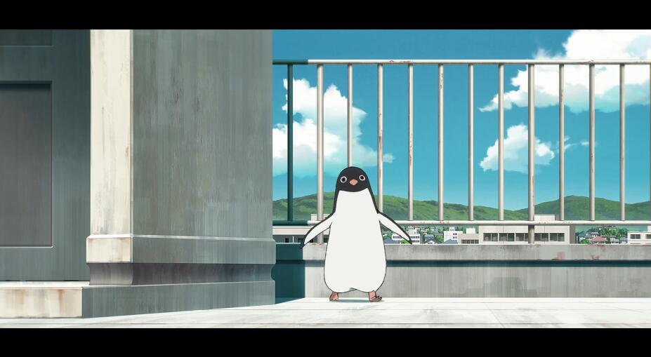 动画电影《企鹅高速公路》首支预告 8月17日上
