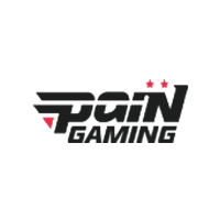 paiN GamingսϽ
