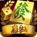 老广廉江麻将V1.4 安卓版