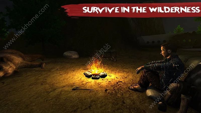 Ұƻ޽ҰVival Hero Escape 2017  v1.0 ׿