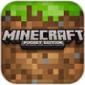 ҵ(Minecraft) V1.1.0.8 ׿