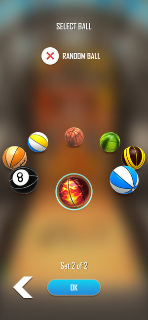 Basketball Flick 3DϷİV1.0 ׿