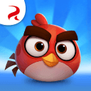 Angry Birds CasualV1.0.0