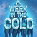 һϷֻ׿棨A Week In The Cold V1.0 ׿