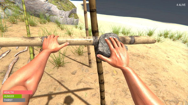 HandSimulator:SurvivalİV1.0 PC