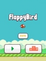 flappybird԰V1.0 PC