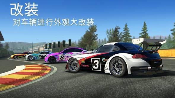 real racing 3V6.3 ׿