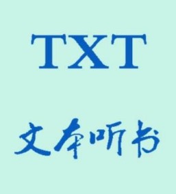 TXT ԰ V1.0 PC