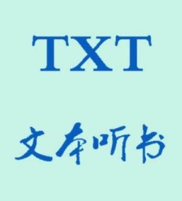 TXT ԰V1.0 PC