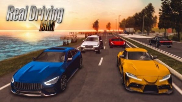 realdrivingsimV1.0 IOS